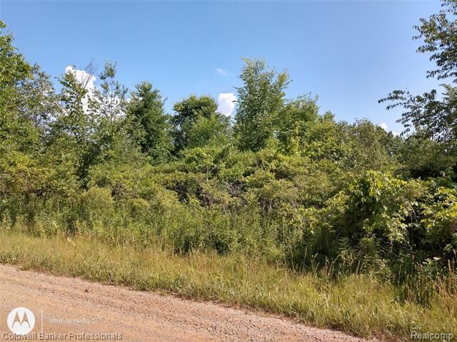 Vl Brimley Road  Conway Twp MI 48836 photo