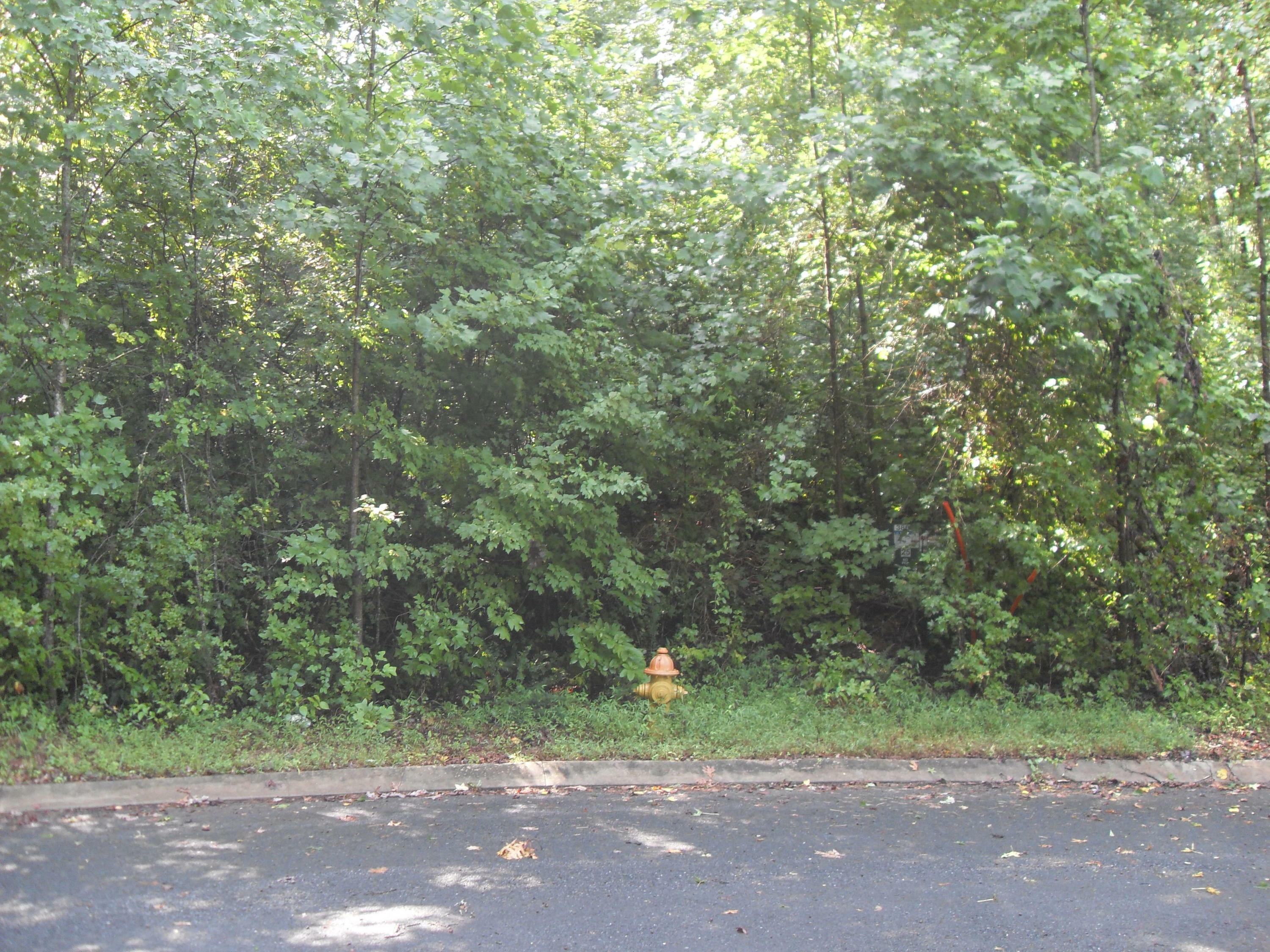 Property Photo:  016 Loblolly Ln  GA 30755 