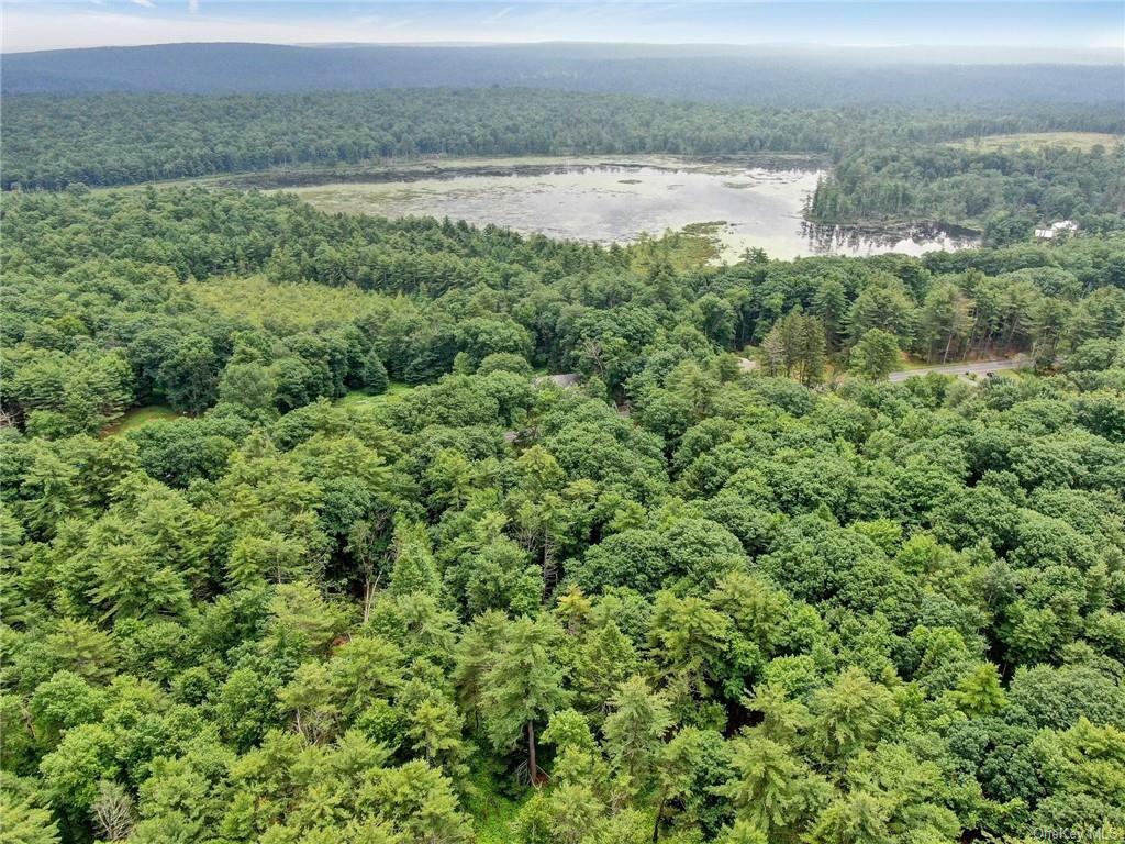 Property Photo: Sackett Lake Road NY 12777