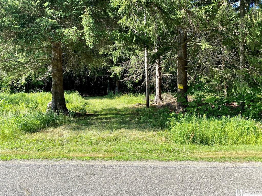 Property Photo:  0 Nutt Road  NY 14701 