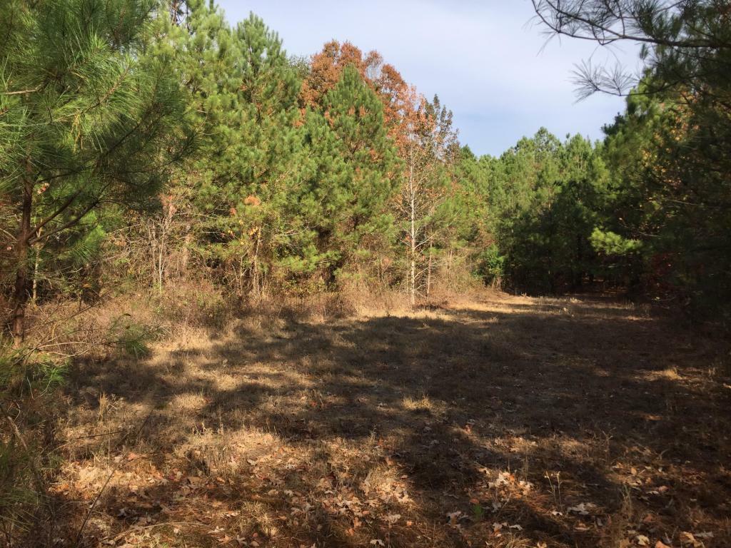 Property Photo:  990 Hemphill Rd  GA 30747 