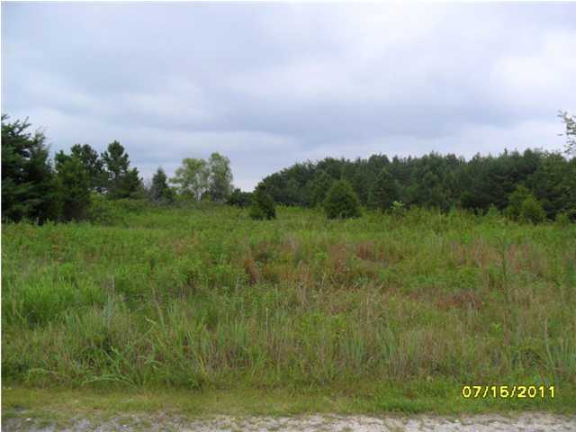 Property Photo: 0 Davis Drive AL 35958