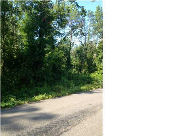 Property Photo: 0 County Rd 95 AL 35979