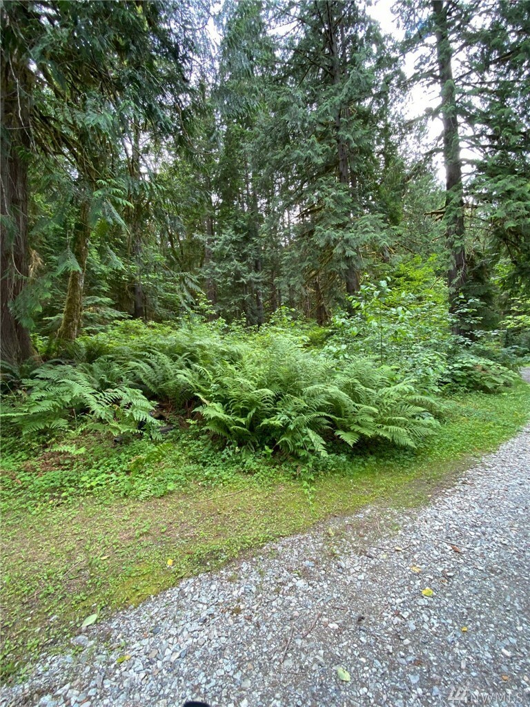 Property Photo:  0 W Ross Place  WA 98267 