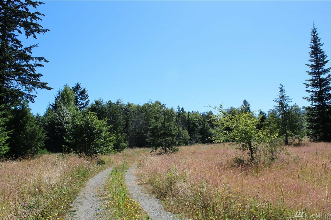 Property Photo:  999 Laird Rd Lot 8  WA 98363 