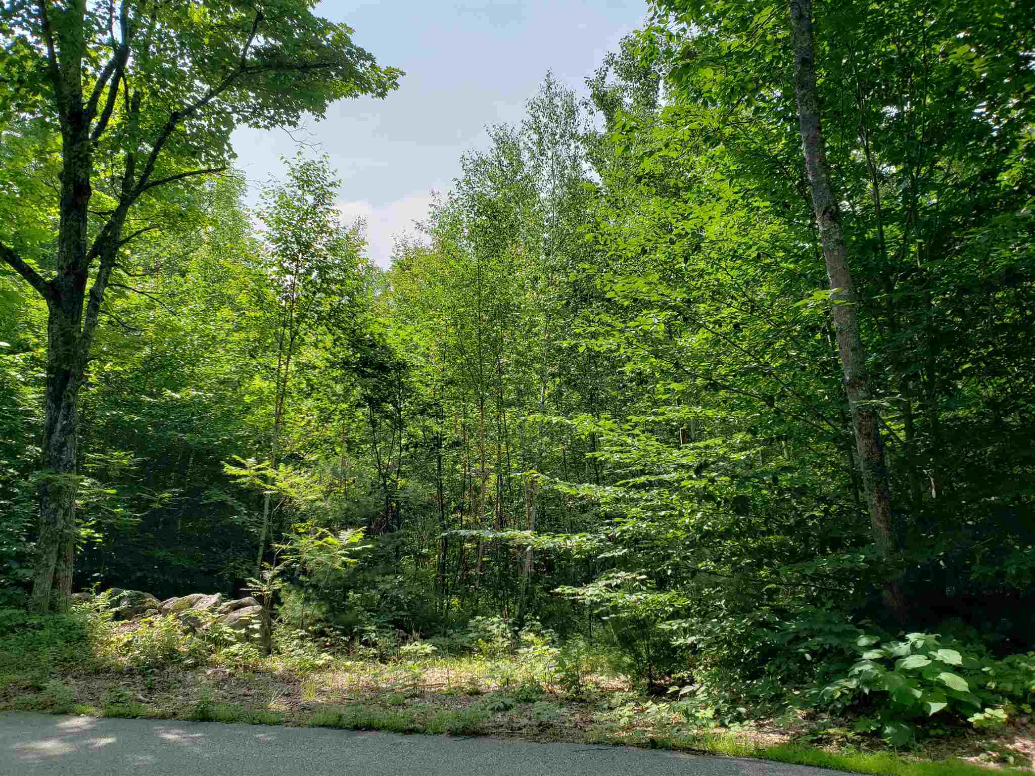 Property Photo: R8 45A Maple Ridge Road NH 03227