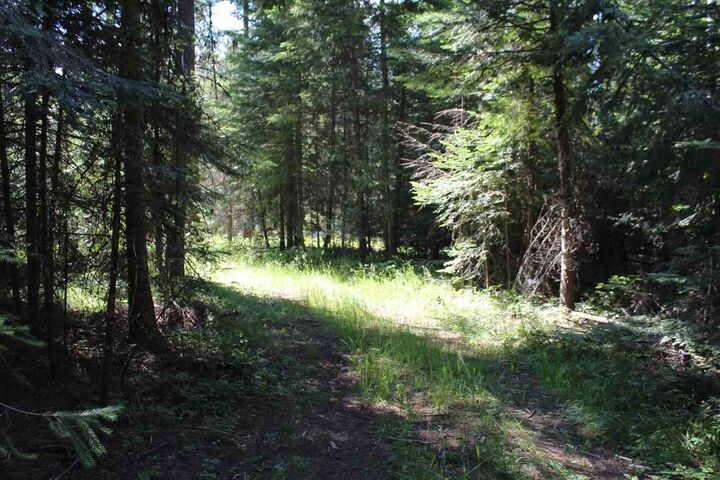 205 Little Diamond Ln  Newport WA 99156 photo