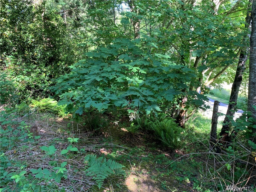 Property Photo:  10714 SW 111th Place  WA 98070 