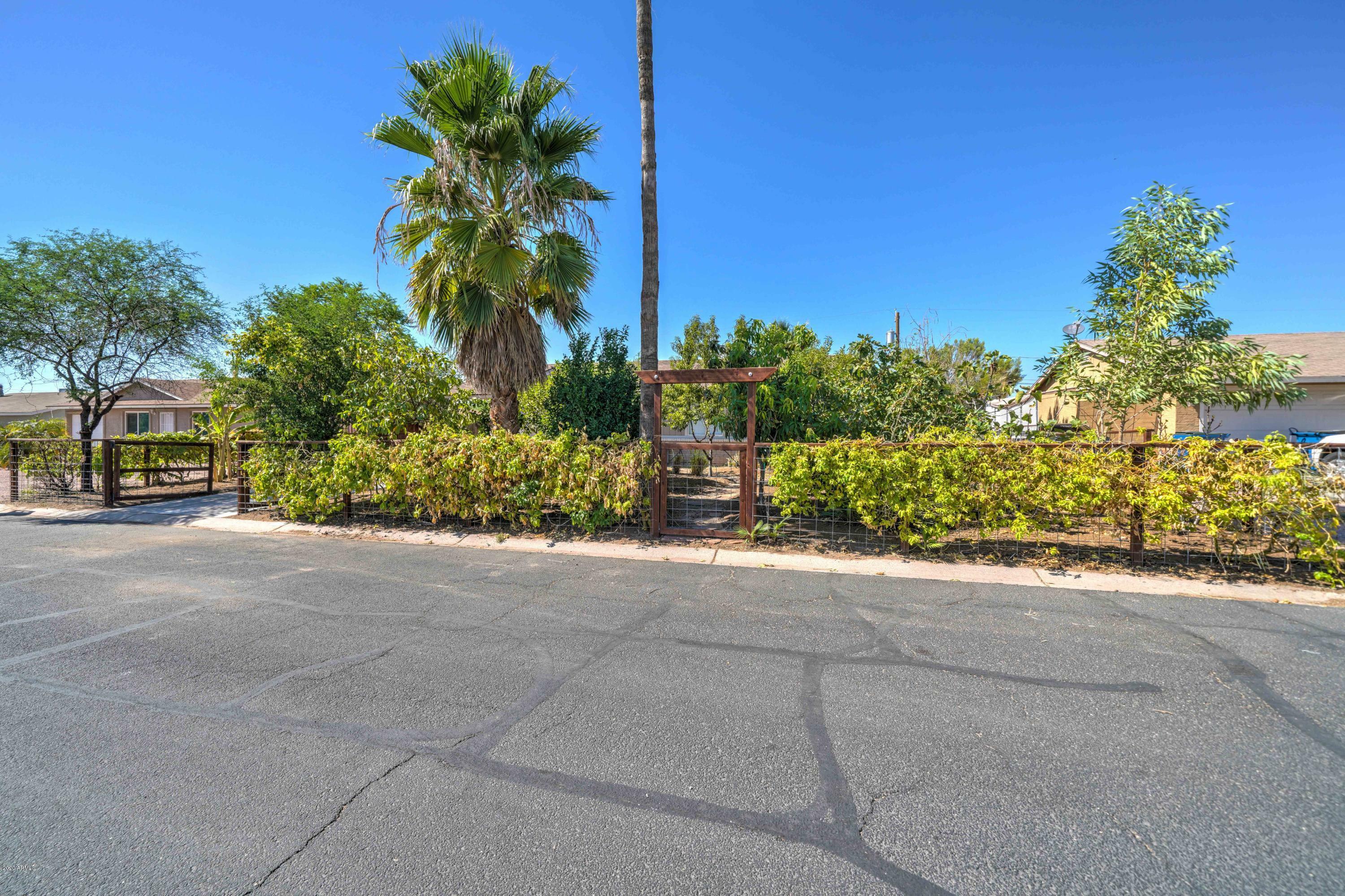 Property Photo:  652 E Kachina Avenue  AZ 85119 