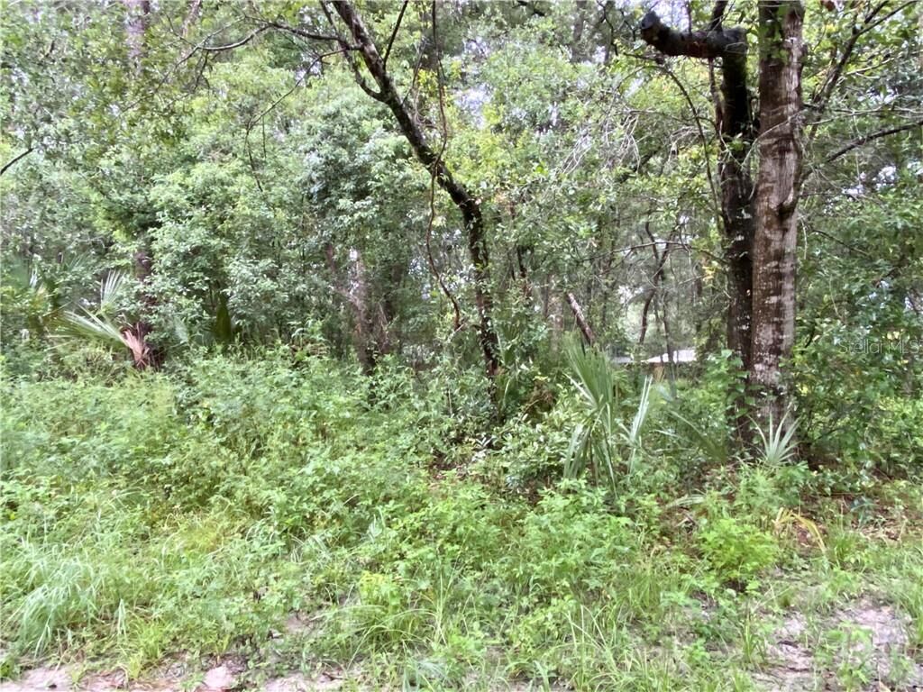 Property Photo: 0 Ridgeview Avenue FL 32776