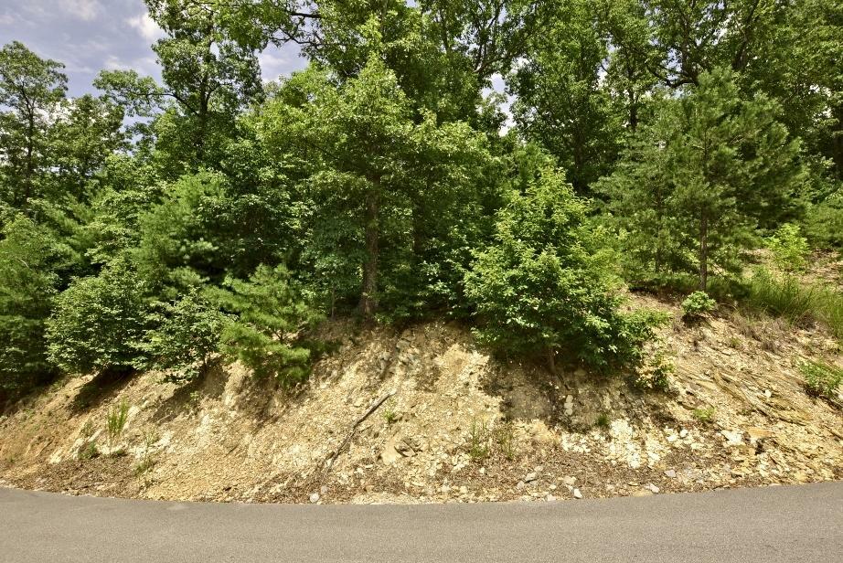 Property Photo:  Lot 120E Settlers View Lane  TN 37862 