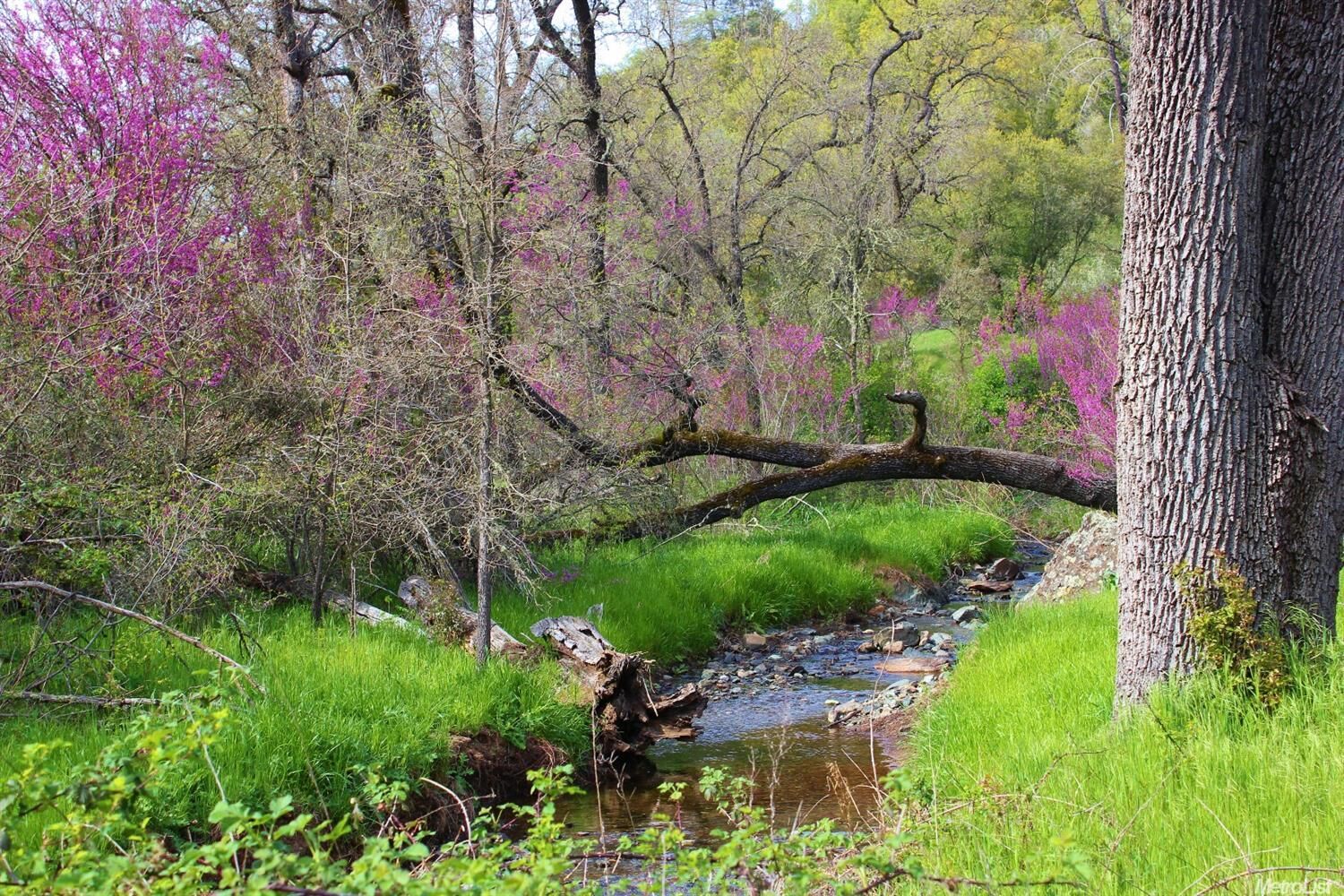 Property Photo:  0 36.8 Acs Springvale Road  CA 95667 