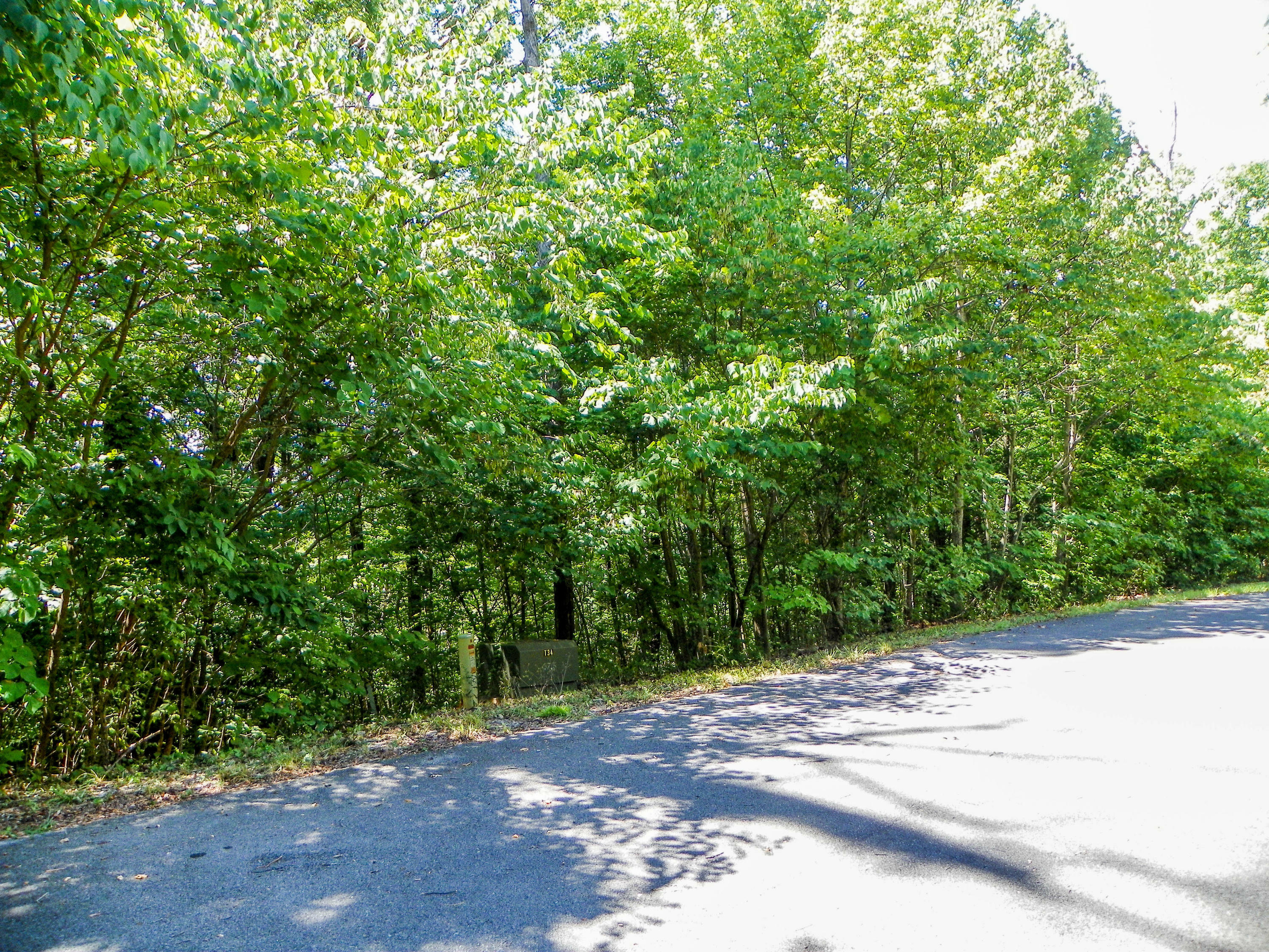 Lot# 34 Stevia Way  Cosby TN 37722 photo