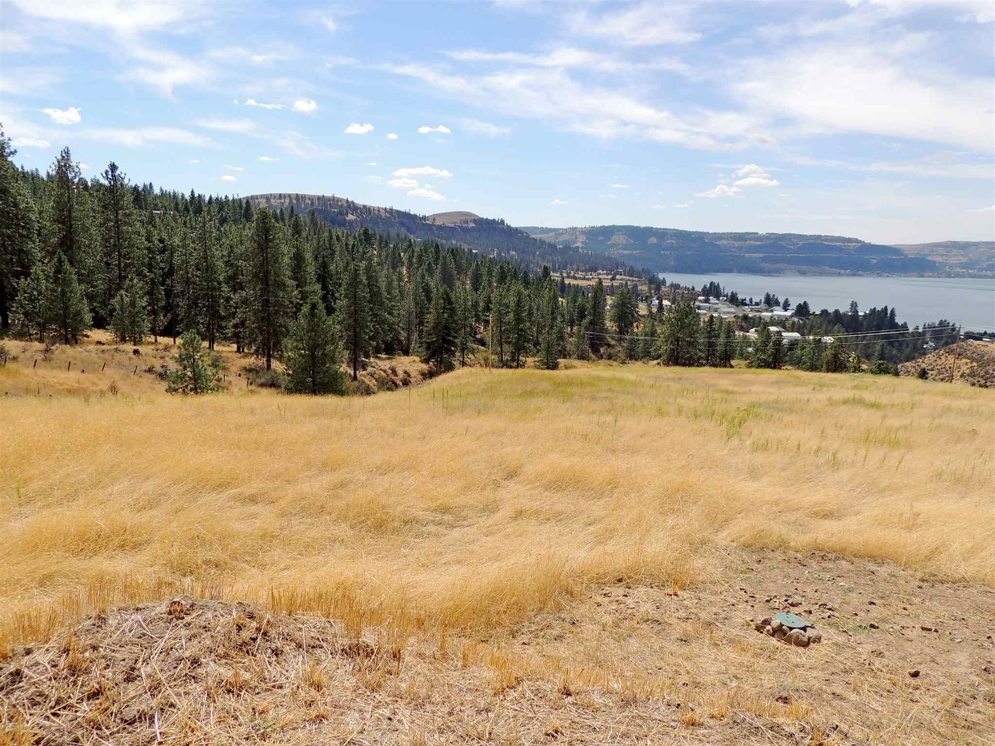 40559 Miles Creston Rd N Lot 2  Davenport WA 99122 photo