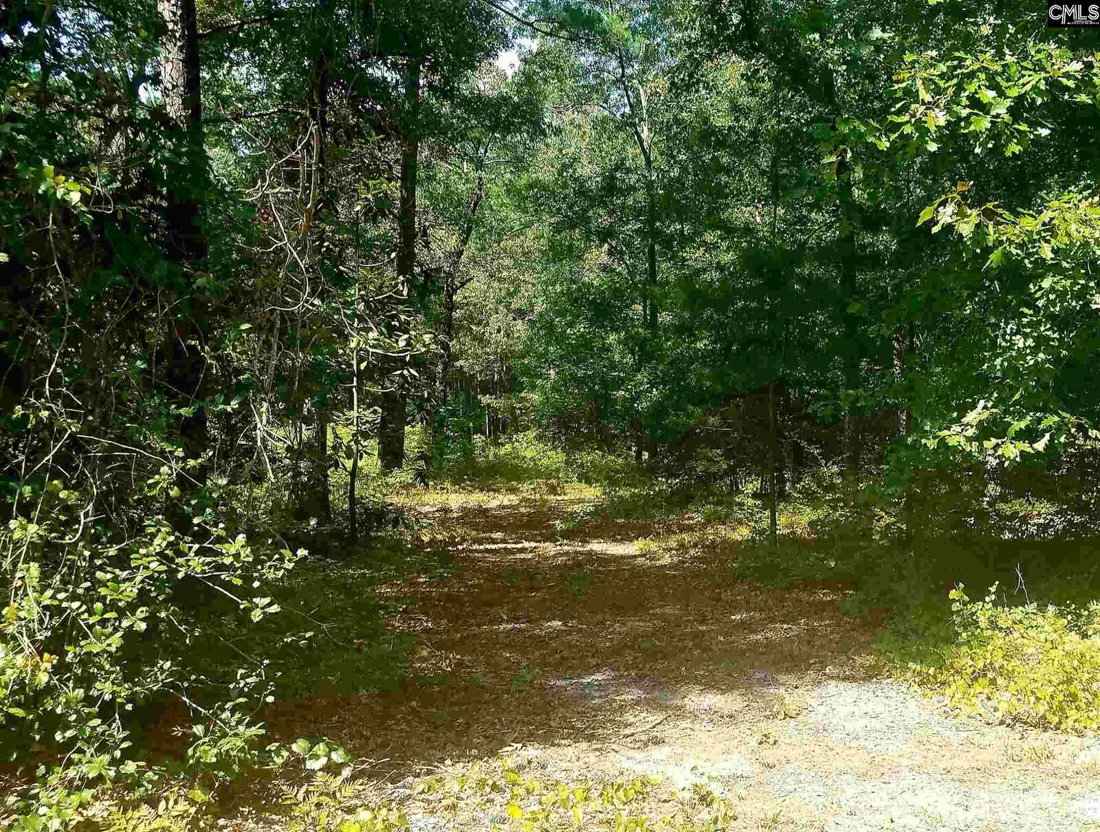 Property Photo:  Juniper Springs  SC 29054 