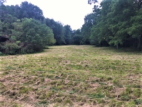 Property Photo: 3789 Rich Road KY 41063