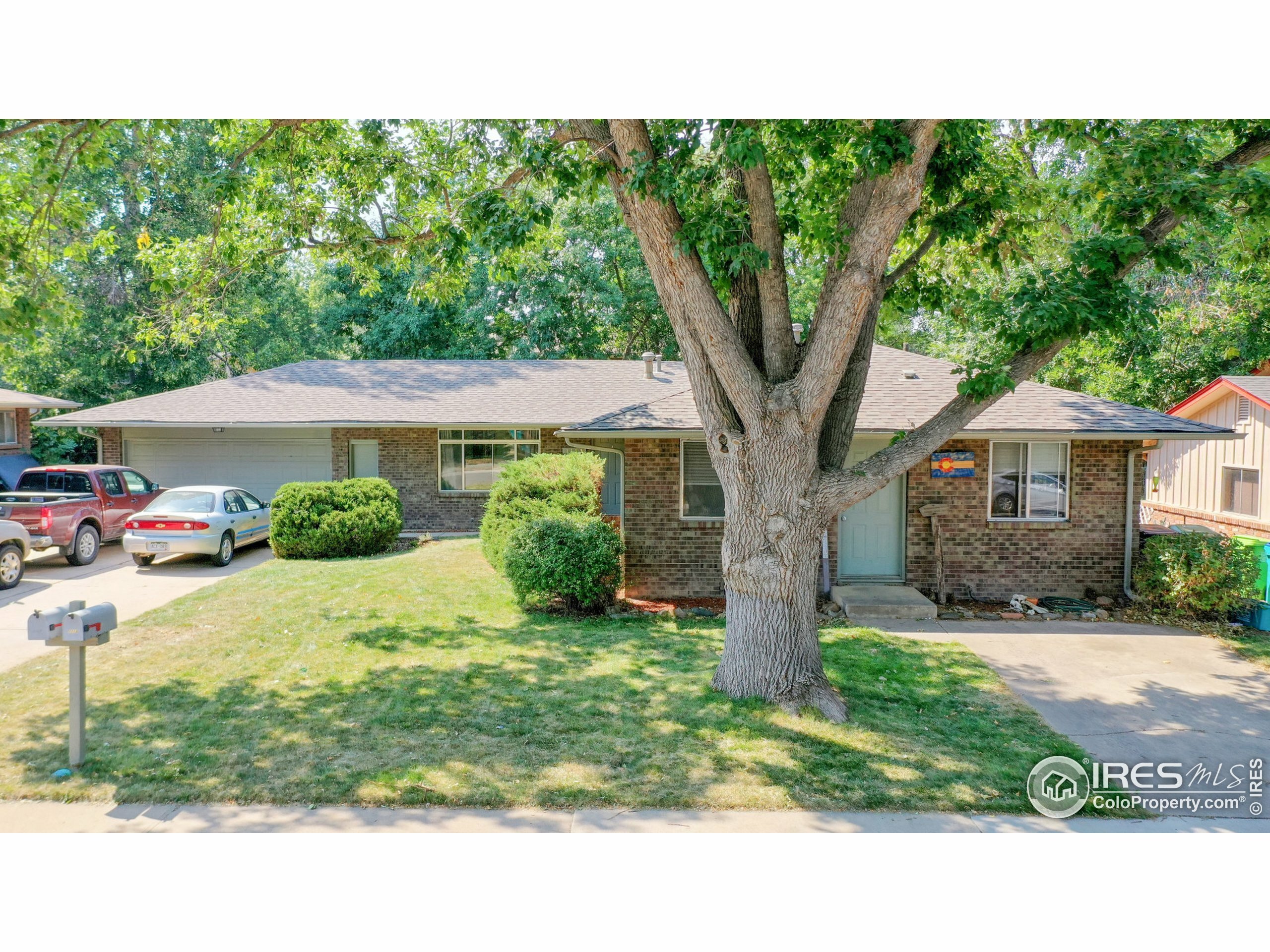 Property Photo:  1113 Cypress Dr  CO 80521 