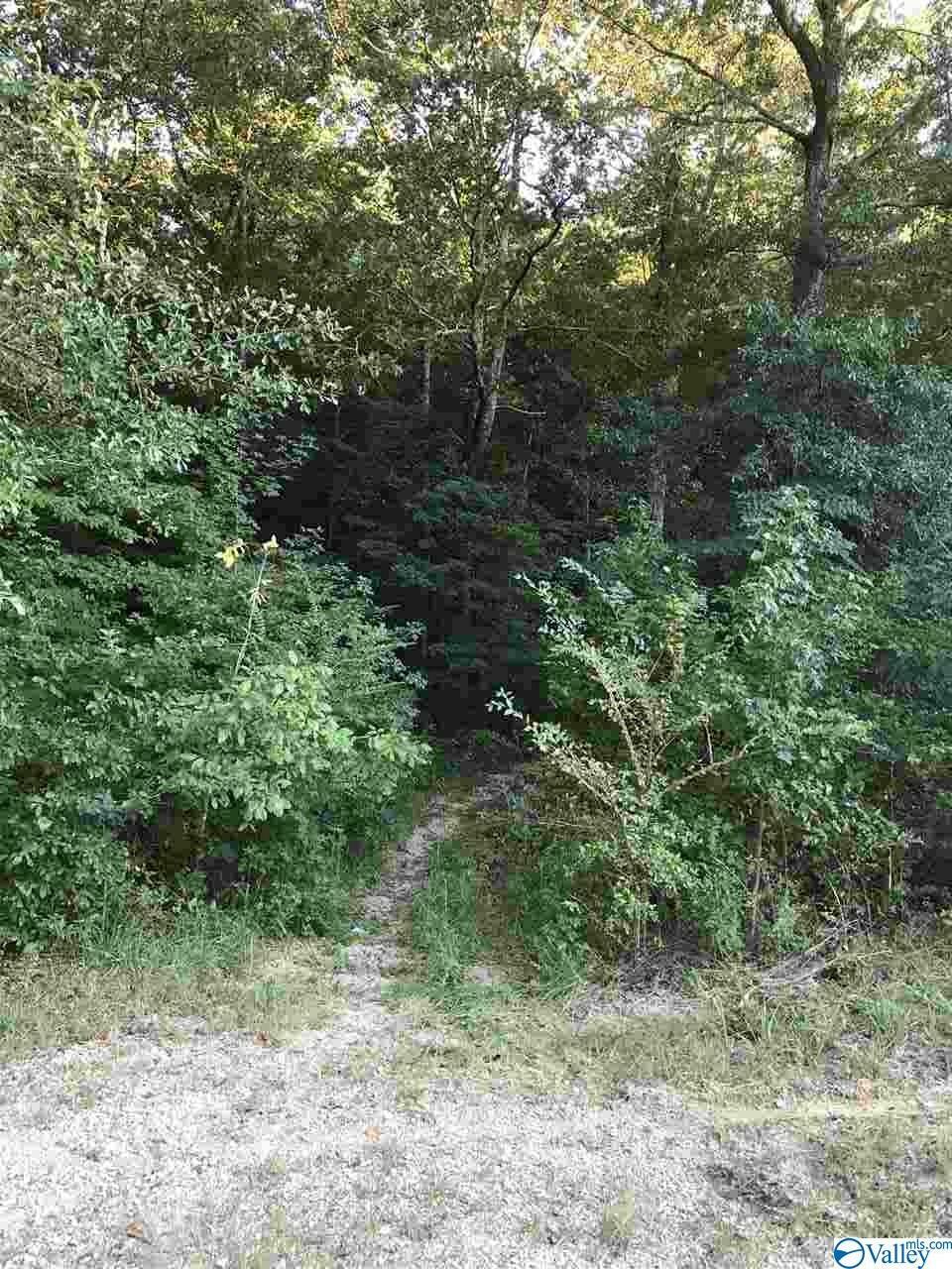 Property Photo:  Lot 33 County Road 279  AL 35650 