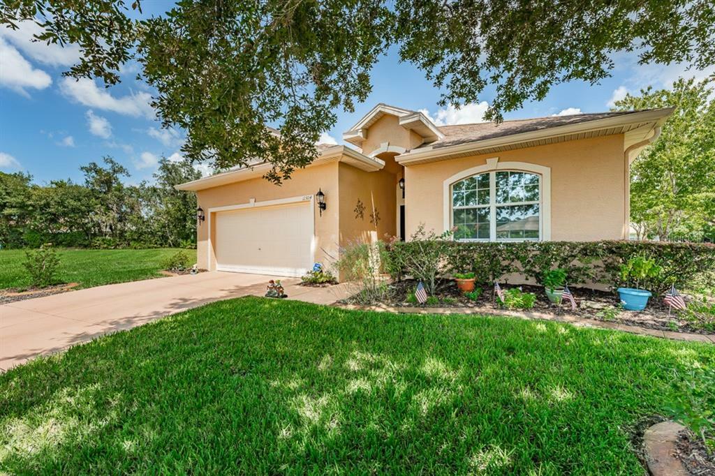 Property Photo:  11304 Mollymawk Court  FL 34654 