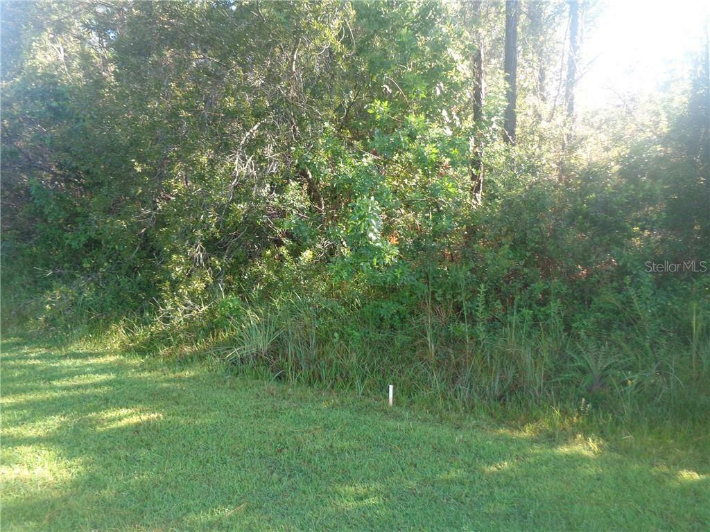 Property Photo:  0 Rosaro Court  FL 34758 