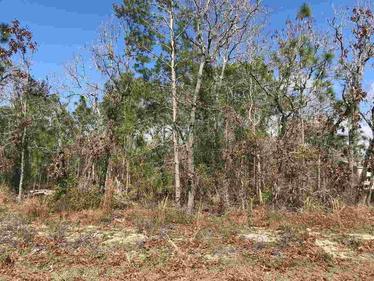 Property Photo:  2166 Post Oak Road Lot 220  FL 32348 