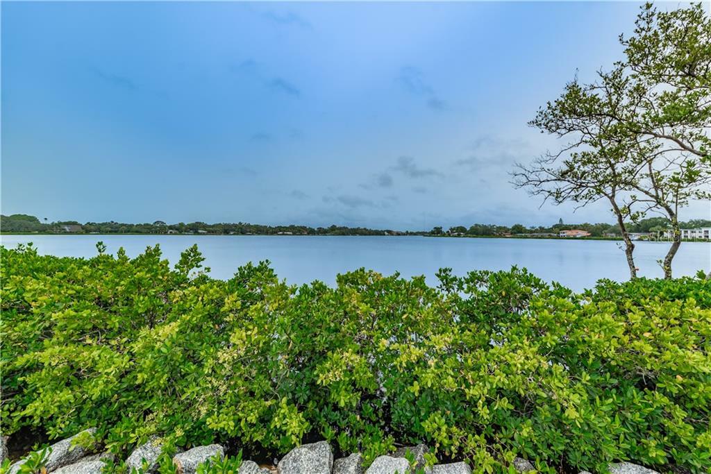 Property Photo:  803 Whitcomb Boulevard  FL 34689 