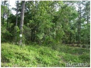 3957 E Highpoint Lane  Inverness FL 34452 photo