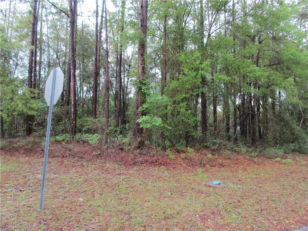 Property Photo:  10316 N Holcomb Drive  FL 34434 