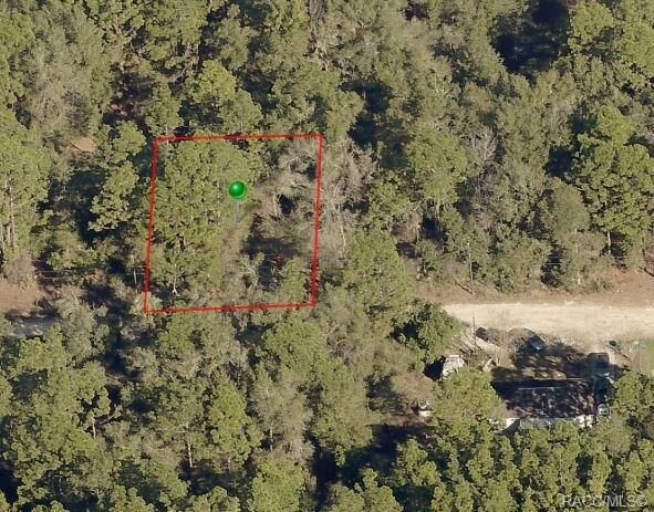 Property Photo: 2514 Monroe Street FL 34453