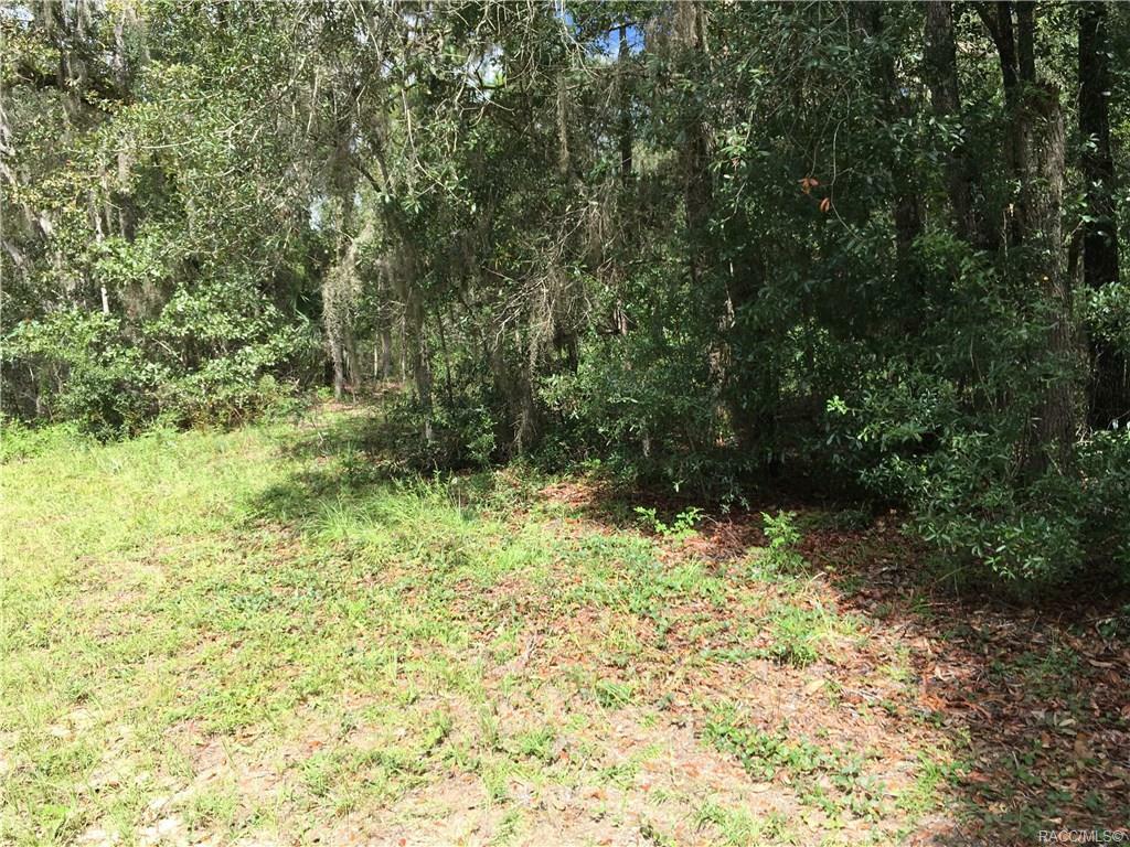 Property Photo:  725 E Malaga Lane  FL 34434 