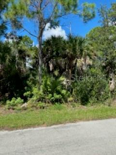 Property Photo:  3382 Brentano Street  FL 33948 