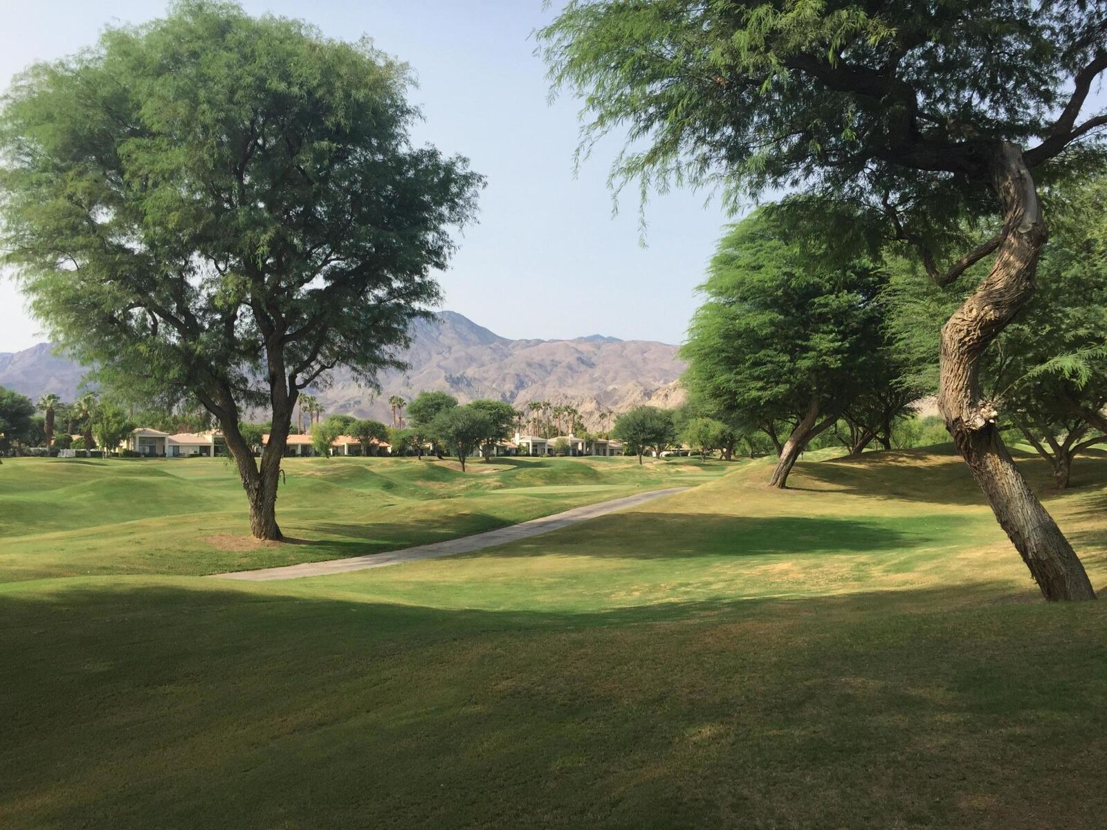 Property Photo:  80561 Oak Tree  CA 92253 