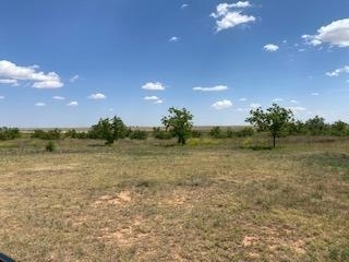 Property Photo:  16126 N County Road 3600  TX 79329 