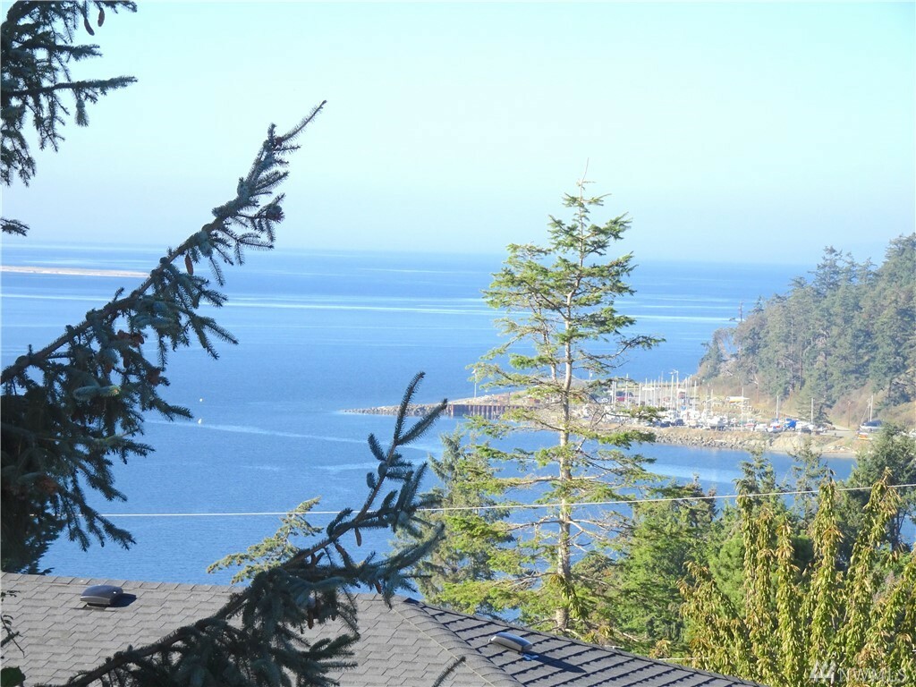 Property Photo:  370 Dennis Blvd  WA 98368 