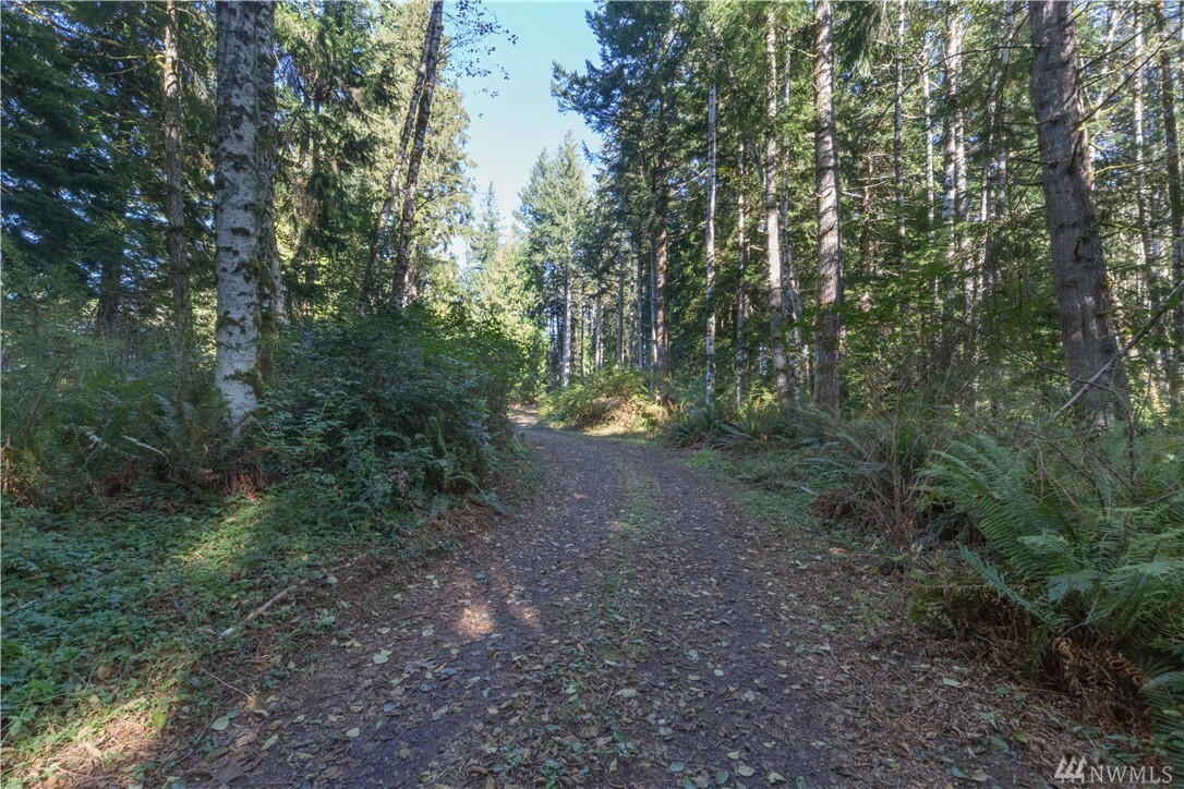 Property Photo:  231 Song Dog Hollow  WA 98376 