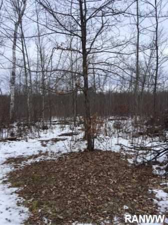 Property Photo:  L 6 & 7 McLaine Road  WI 54888 