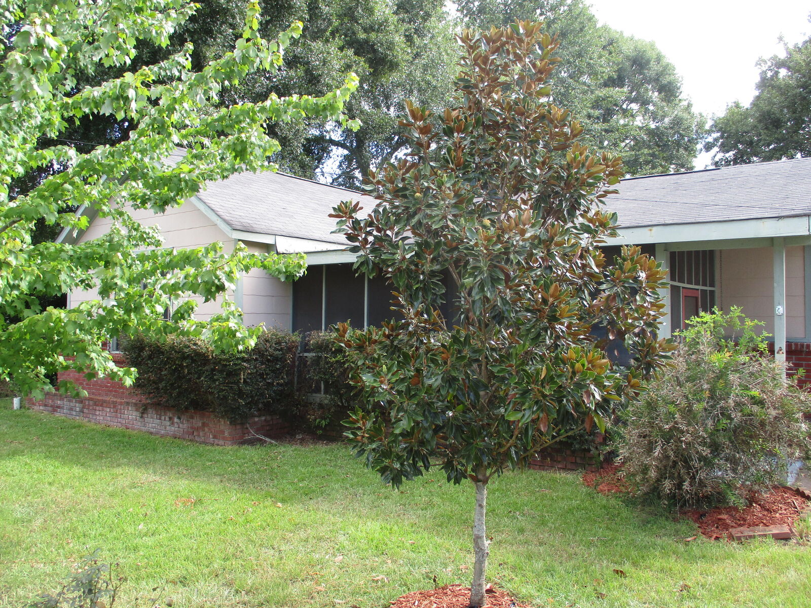 Property Photo: 109 Green St. MS 39465