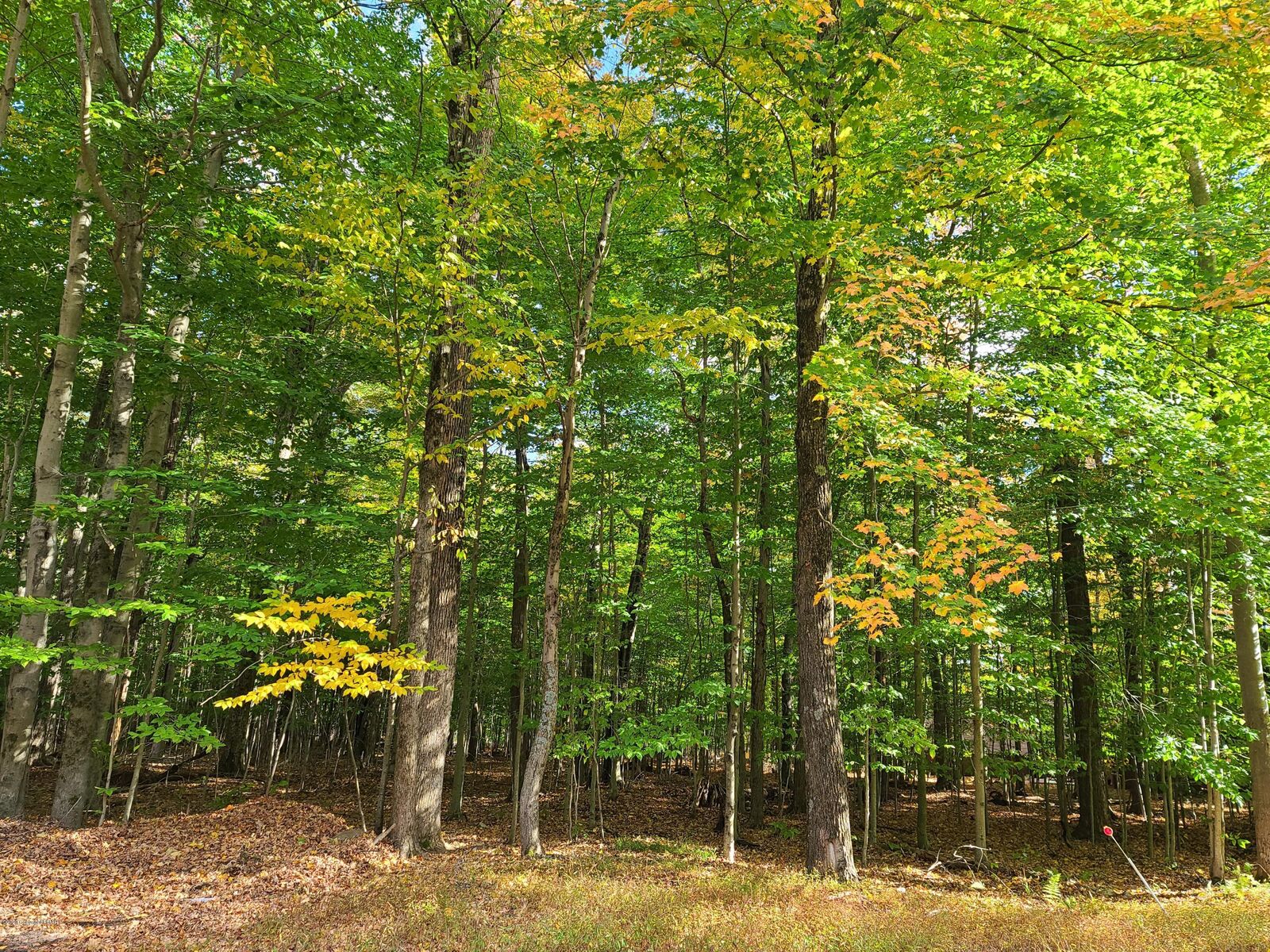 Property Photo: 76 Sir Lionel Court PA 18610