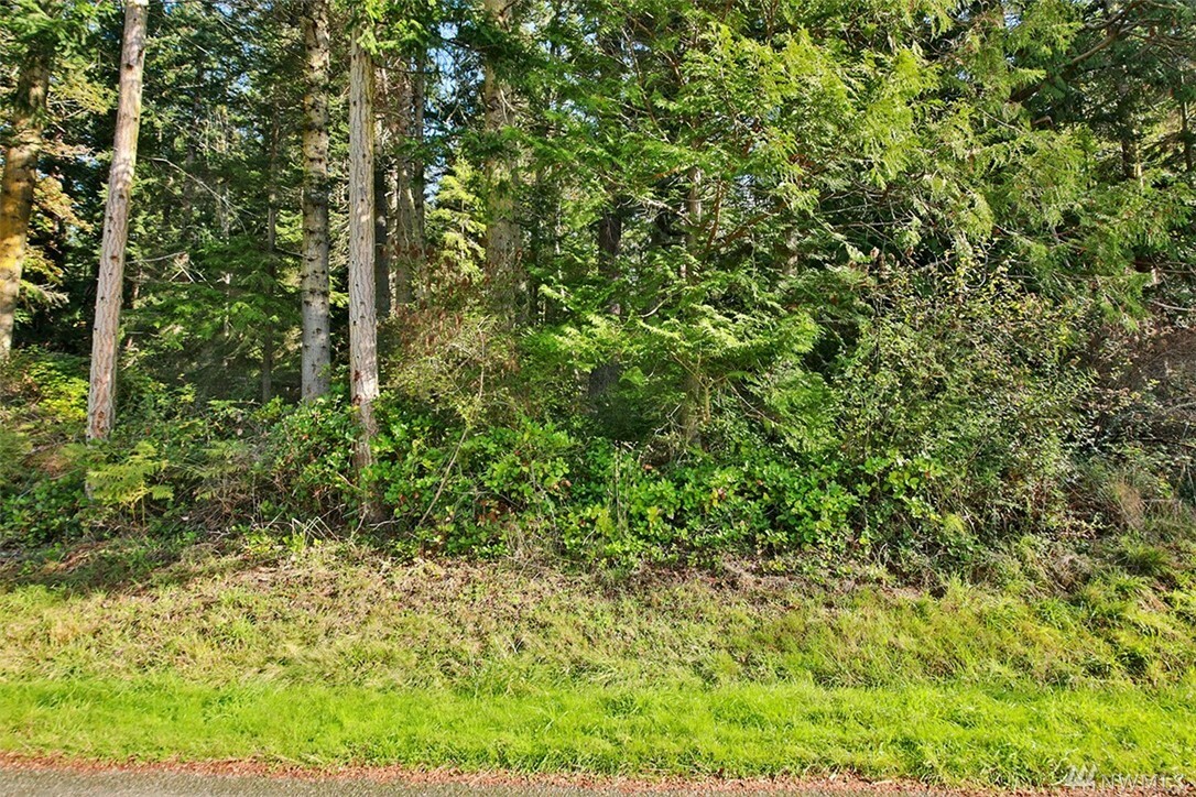 Property Photo:  Lot 20 Basswood Rd  WA 98249 