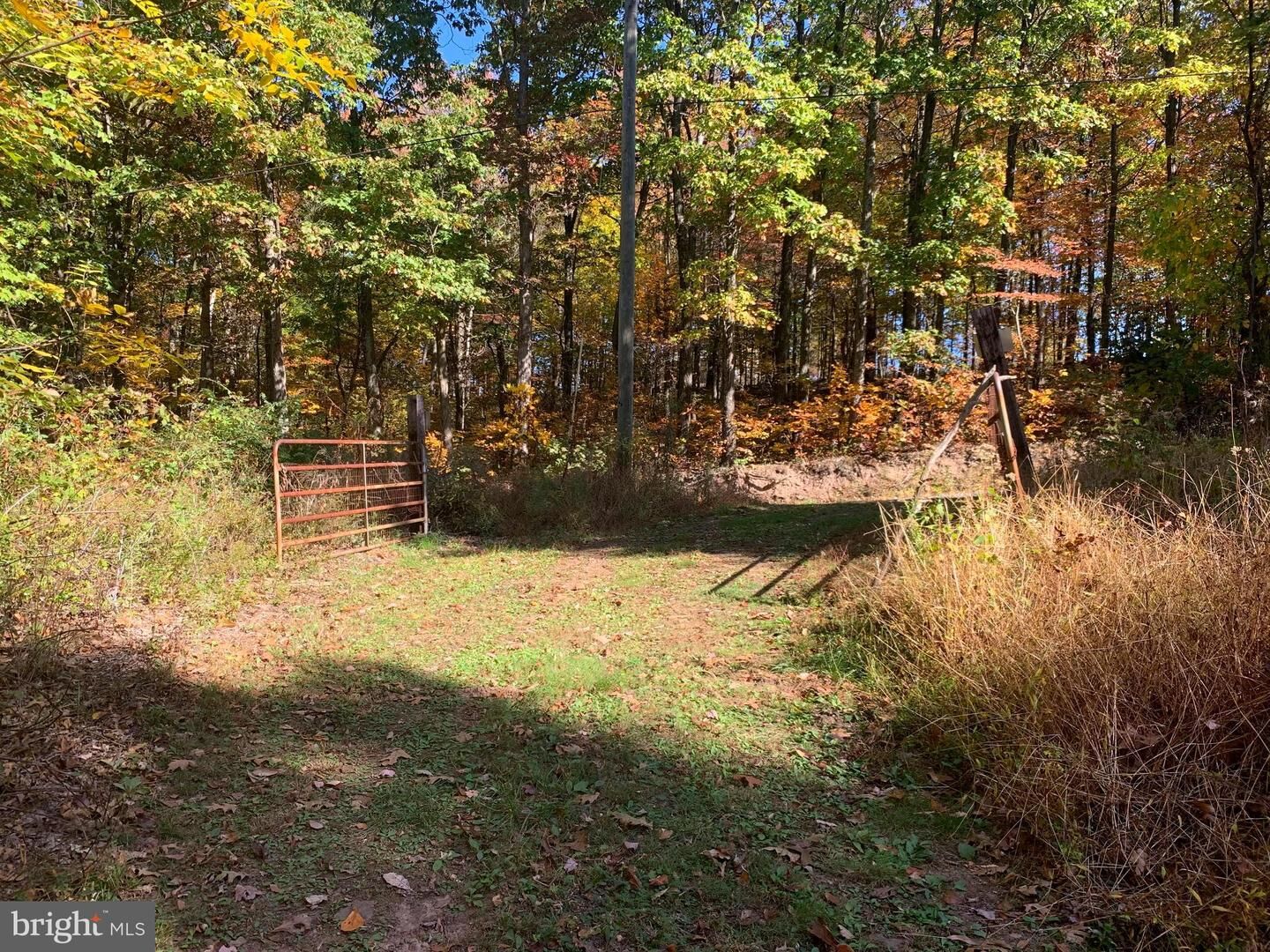 Property Photo:  Little Cacapon Mountain  WV 25444 