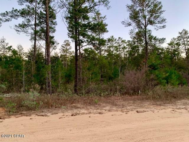 Property Photo:  0 Hicks Lake Court Lot 14  FL 32462 