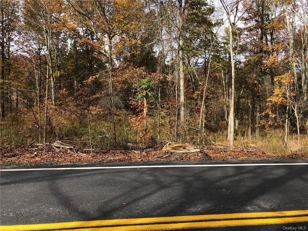 Tbn Decker Road  Pine Bush NY 12566 photo