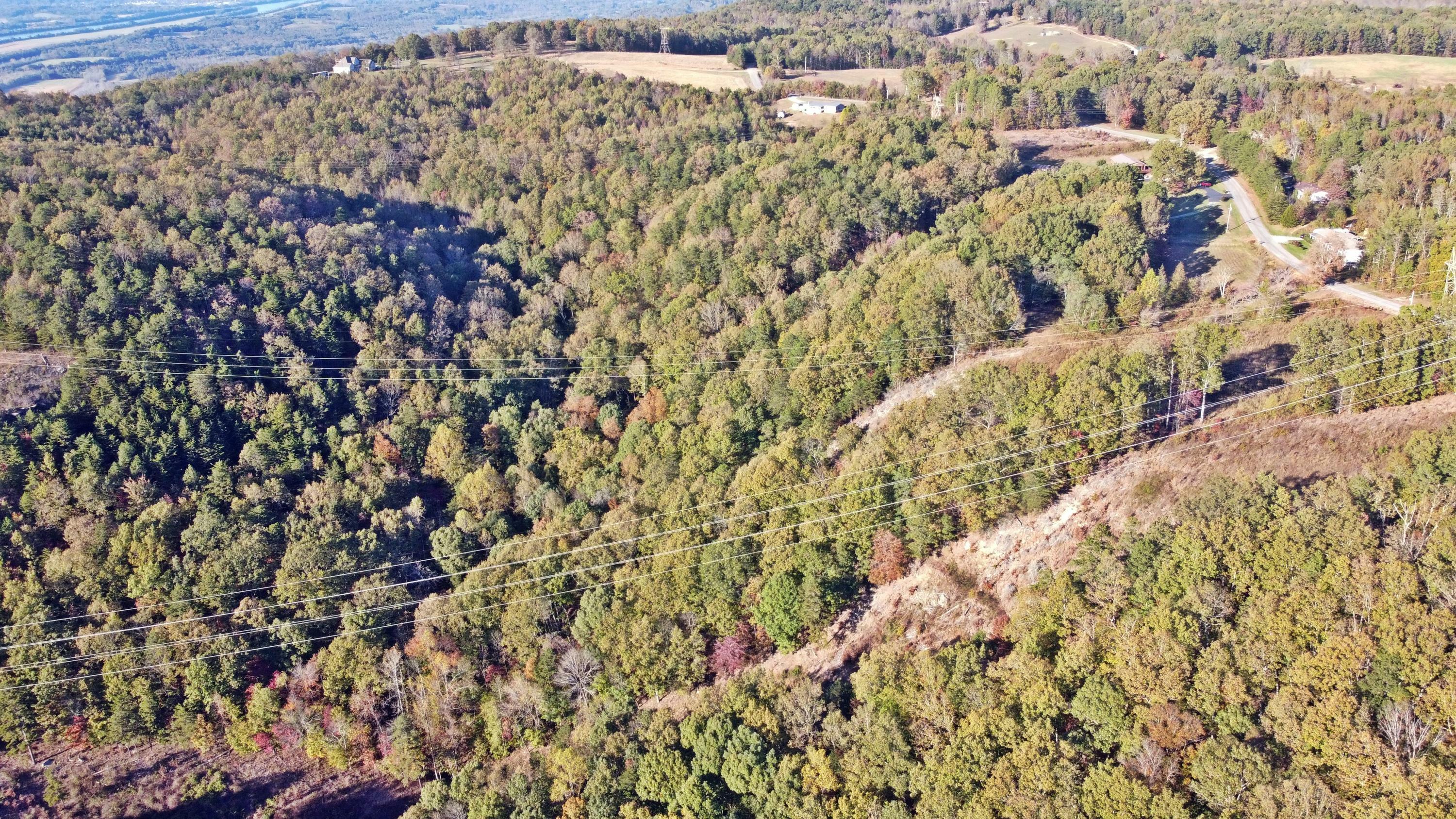 Property Photo: 0 Co Rd 131 AL 35958