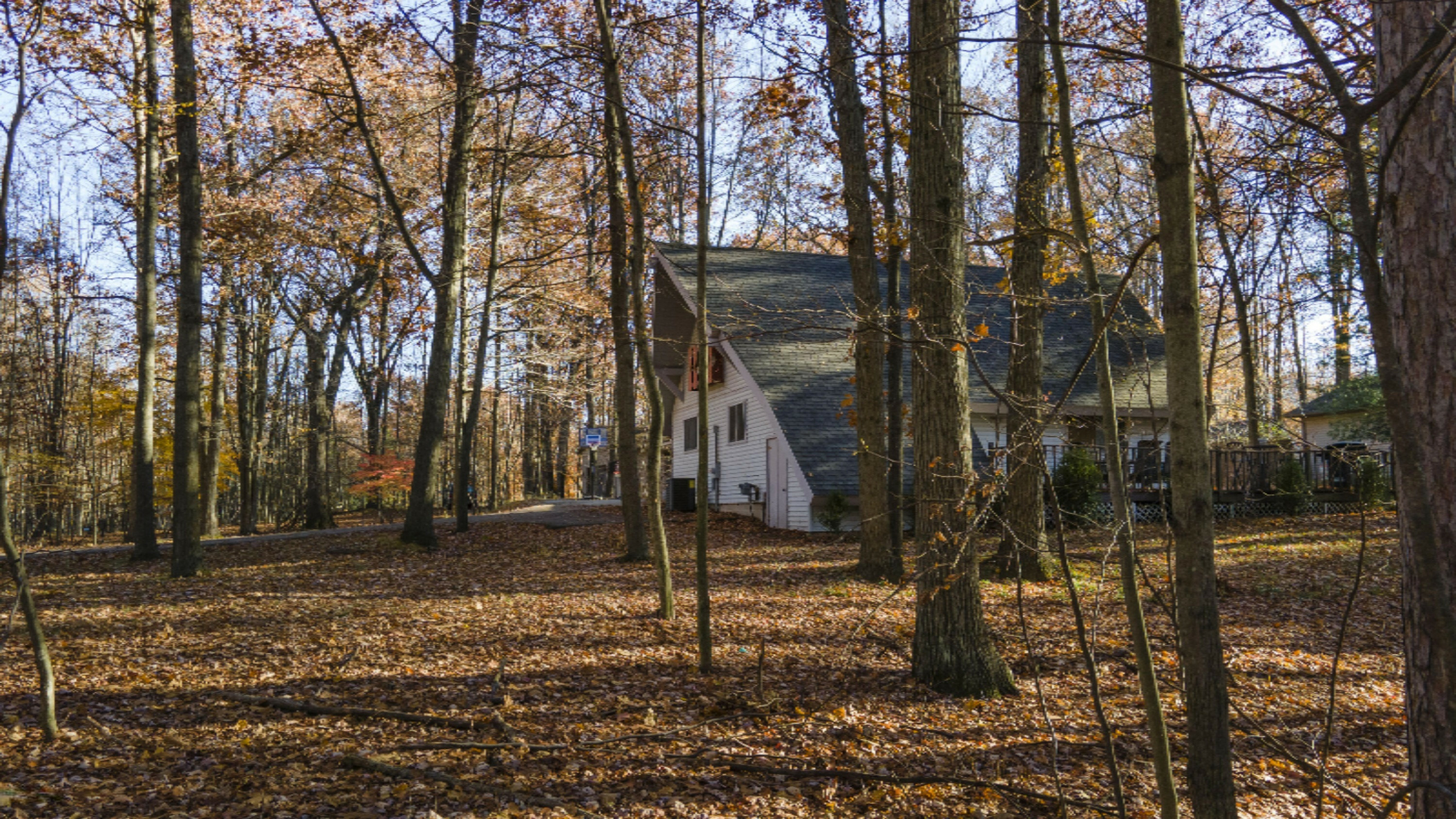 Property Photo:  8811 Old Hickory Lane  MI 49346 