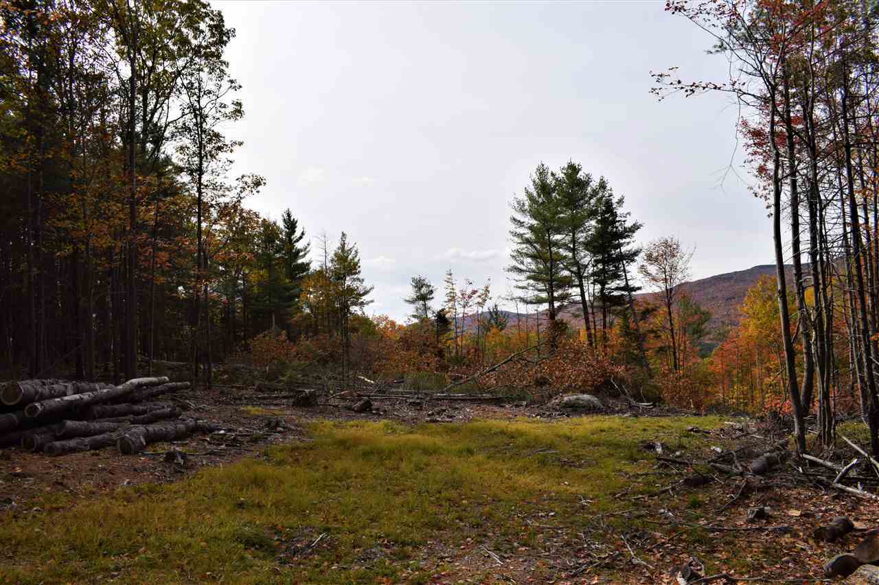 Property Photo:  31-373 Red House Road Lot 298-373  NH 03255 