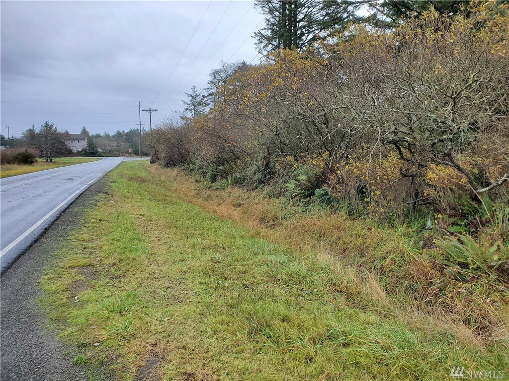 Property Photo:  175 Jk Lewis St NE  WA 98569 