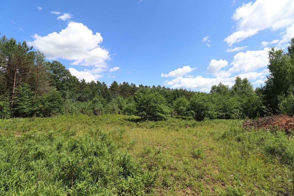 Property Photo:  147989 Burma Road  WI 54455 