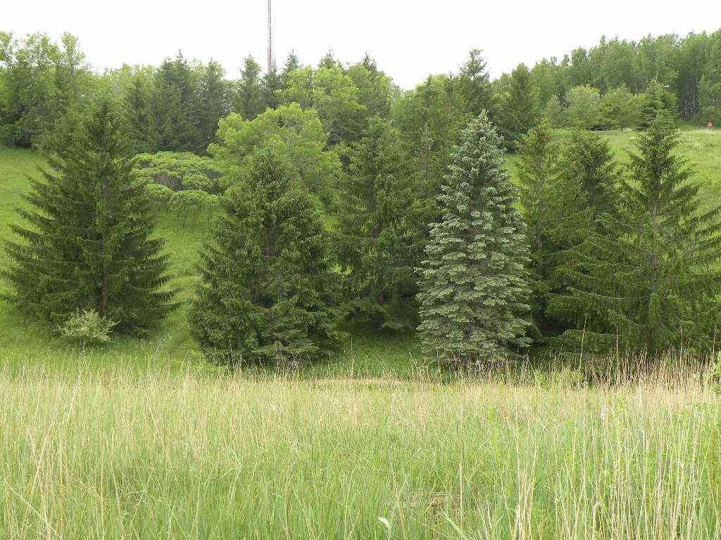 Property Photo:  290 Moraine Drive  WI 54971 