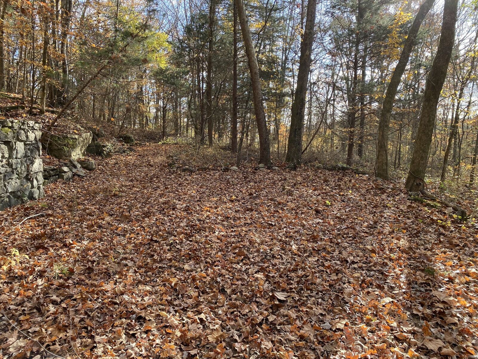 Property Photo:  1 Donnawood Ct  TN 37075 