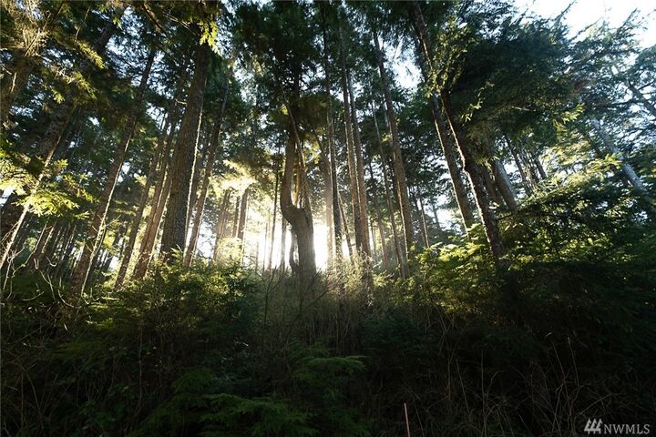 Property Photo: 9 Sprucewood Lane WA 98535